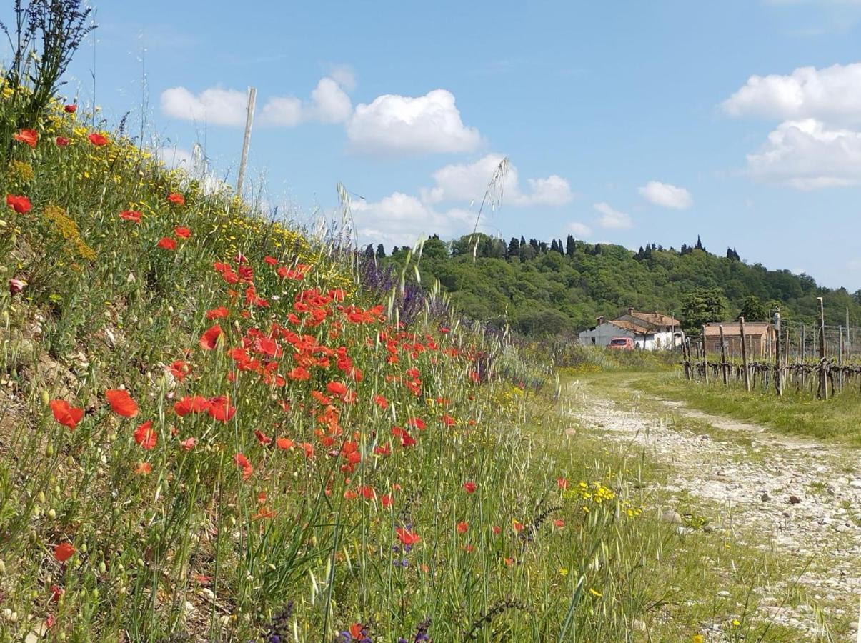 Hotel Ripassoqui Custoza Exteriér fotografie